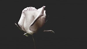 Nicky Henson tot: Der Krebs war stärker! "Downton Abbey"-Star (74) verstorben