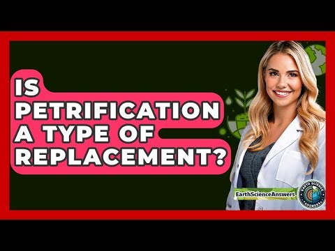 Is Petrification A Type Of Replacement? - Earth Science Answers