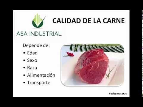 GENERALIDADES Y METODOS DE CONSERVACIÓN DE LA CARNE