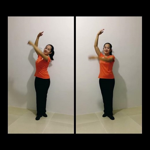 Basic Folk Dance Steps - Salok