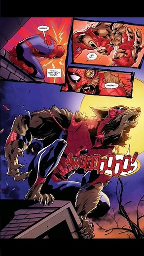 Spiderman becomes a werewolf