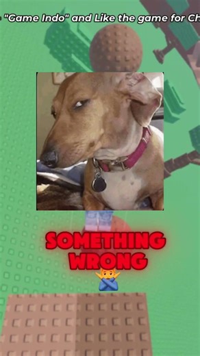 If i was your mom these should be my my rules👩