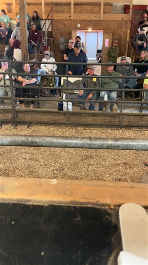 West Tennessee Auction Barn on Reels