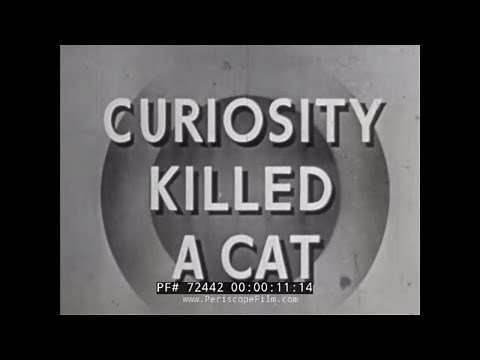 " CURIOSITY KILLED A CAT " WWII U.S. ARMY UNEXPLODED ORDNANCE HANDLING INFANTRY TRAINING FILM 72442