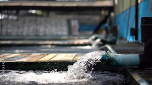 Water flow treatment system from the water pump pipe.Motion of water gushing out of the pipe from Koi Pond Carp fish farm for oxygen.Water was drain by tube pvc.Industrial wastewater treatment.