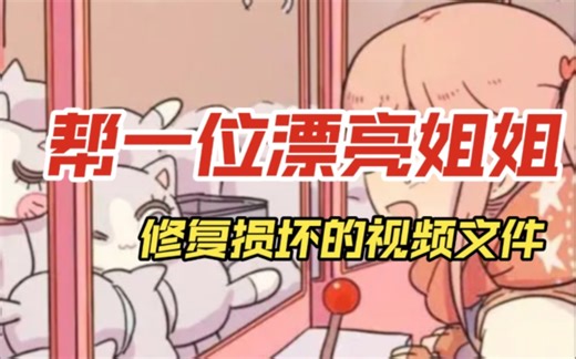 帮一位漂亮姐姐修复损坏的视频文件