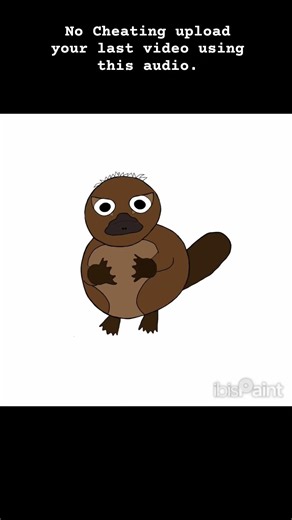 Drawing a Duck Billed Platypus Using Ibis Paint...