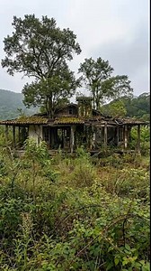 Renovating a dilapidated old house into a super chill four-sided home #spacerenovation #interiordesign | build.foundry