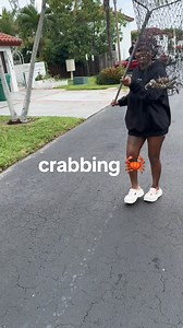 1.3M views · 46K reactions | the crabs out y’all  I’m such a big kid but I really be having fun doing stuff like this makes me miss my mom tho #tempestroshelle #crabbing #oldcutlerroad #hurricaneseason #survival | Tempest Roshelle | Facebook