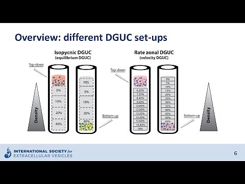Density gradient ultracentrifugation to isolate extracellular vesicles