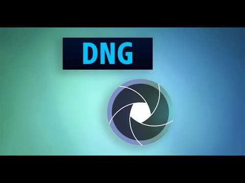 DNG Becomes ISO Standard: What It Means for Your RAW Photos