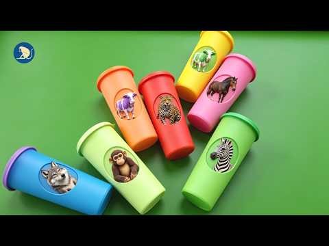 MENEMUKAN: Hewan Sapi, Kuda, Monyet, Singa, Zebra, Jaguar, Serigala dalam Gelas