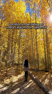 Foglie che cambiano, colori che sorprendono, esperienze che restano 🍂 In autunno, la California mostra un volto inaspettato. Ecco i posti da segnarvi: 🍁 Hope Valley nella Alpine County California per i foliage lovers 🍂 Rock Creek Lake, presso Mono County Tourism, per escursioni riflessive all'insegna del relax. Se cerchi attimi di pace tra silenzi e paesaggi, non perderti anche Gull Lake 🍷 Chateau St. Jean a Sonoma County, CA per gli amanti del buon vino 🏞️ Yosemite Nation per le passeggiat