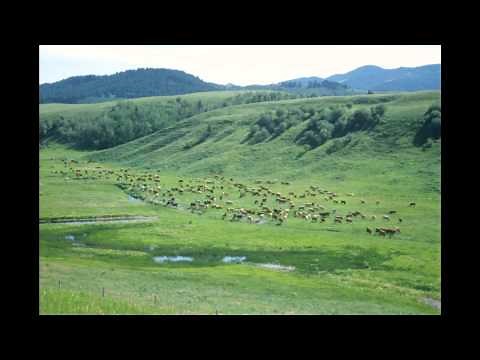 Four Principles of Good Range Management