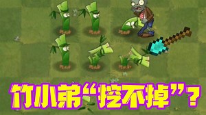 植物大战僵尸：竹小弟“挖不掉”？一挖就断了！