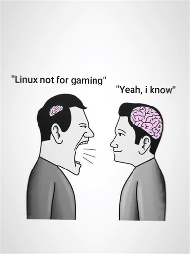 Iya iya iya #fyp #linux #gaming #iusearchbtw #endeavoros