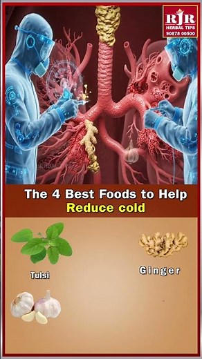 The 4 Best Foods to Help Reduce Cold Naturally!