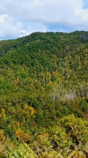 Looking for the perfect destination to create unforgettable family memories? Cherokee has something for everyone! 🏔️ Explore the Great Outdoors: Take a family hike through the Smoky Mountains or visit one of our stunning waterfalls like Mingo Falls. 🎣 Reel in Fun: Enjoy a day of fishing together at the Cherokee fishing ponds or along our stocked streams. 🦌Wildlife Encounters: Visit the Oconaluftee Visitor Center and spot elk grazing nearby—a magical moment for kids and adults alike! Cherokee