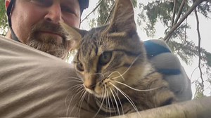 31K views · 3.7K reactions | The stories we’ve heard after many years...