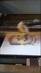 Engraving Process Explained #engravingtutorial #shorts #coreldraw2026 #youtubeshorts