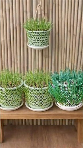 Growing Green Onions in Pots 🌱 Beautiful, Easy & Space-Saving Gardening #farminglife #farming