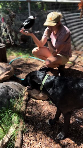 Zeph and Bridget on TikTok