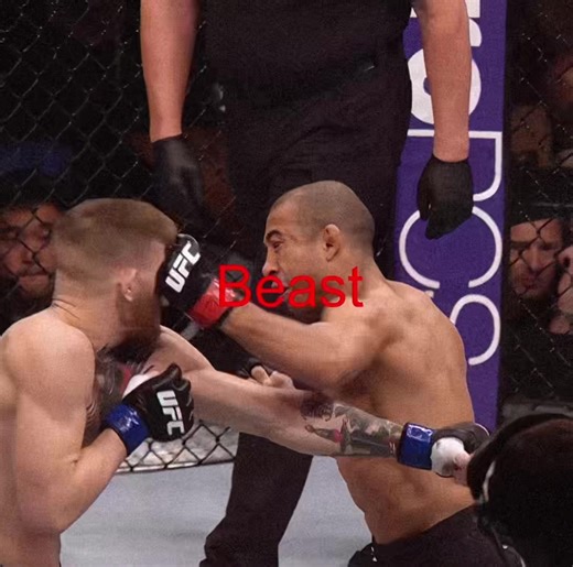 Conor McGregor: The Notorious UFC Highlights