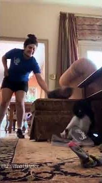 Fake cat prank🤣🤣🤣#cat#catvideos #funnycat#fyp