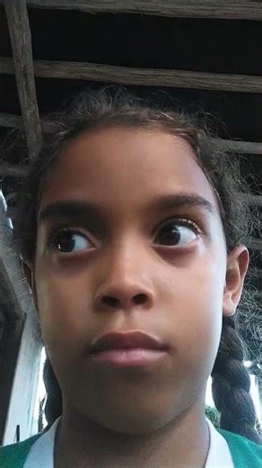 11 de dezembro de 2025