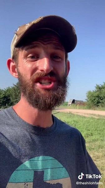 Crop Duster Flying Over Corn Fields