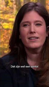 2026 rampjaar voor toerisme door verhoging BTW naar 21%?