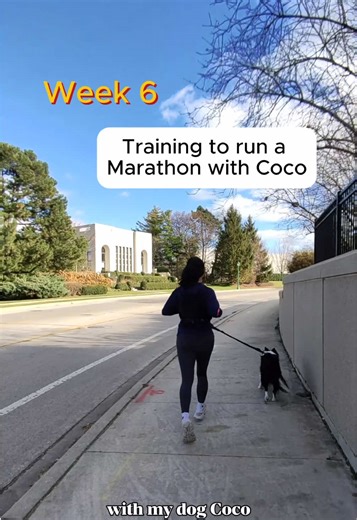 Running Motivation: Training with My Dog Coco