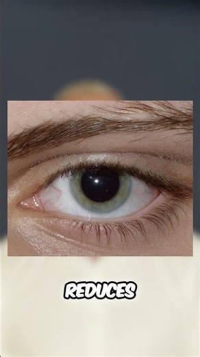 Night Vision Problems What You NEED to Know!