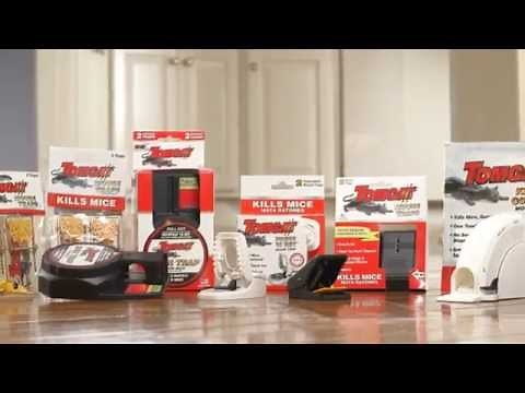 How to Properly Dispose of Dead Mice