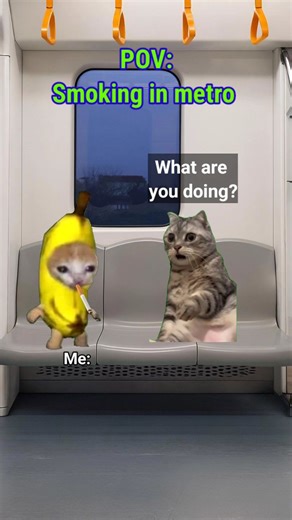 Cat memes | Smoking in metro #tiktok #meme #fyp #like #treding #instagram #followforafollow | Instagram