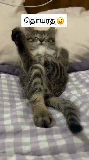 Exploring Happiness Through Emotional Moments