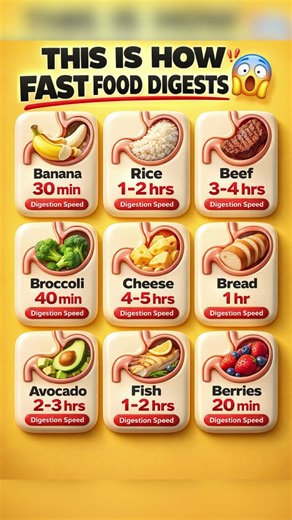 This Is How Fast Food Digests 😱