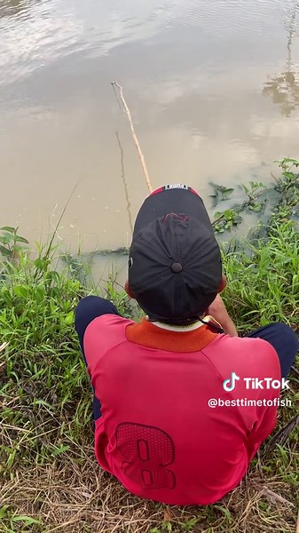 Amazing Freshwater Fishing Video Highlights