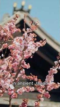 Japanese Folklore: Amaterasu and the Hidden Sun