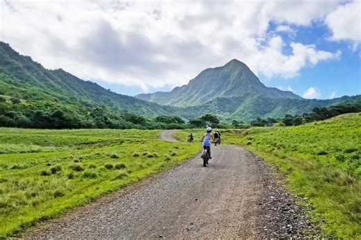Hawaii Targets E-Bikes & E-Motos, Bosch’s Performance Update 2.0, Tern Partners with BikeInsure | TWR Ep 81