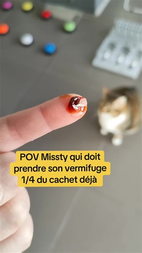 Vermifuge pour Missty : un défi amusant
