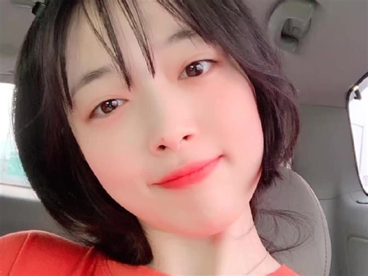 Understanding Sully Choi: The Life and Legacy of 최진리