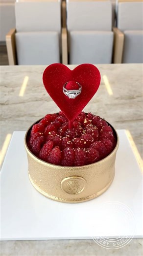 Heart in cage proposal cake!