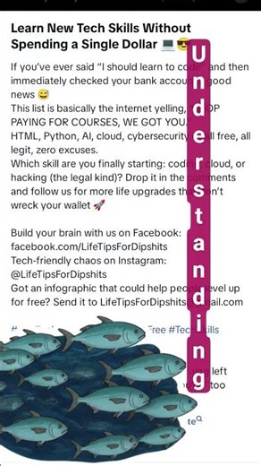 Learn Tech Free #programming #coding #python #system