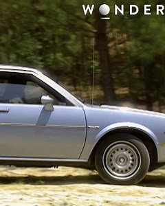 Snow Ball the cat helps solve a baffiling criminal case. The fur from a jacket matches Snow Balls DNA this lead detectives to the man behind the horrific crimes. | The Wonder Channel