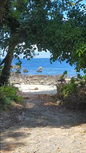 Neah Bay Beach area, quiet and peaceful #pnw#washingtonstate #nature #travel #roadtrip