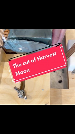 The cut of harvest Moon…. The pumpkins on top are made with soap as well for fall and seasonal feel. The scent is light and bright with notes of currants and citrus zest surrounded by sweet pineapple, strawberry and raspberry. ##s#soaplinstudioh#handmadesoapa#artisans#satisfyingsoappours#soapendss#soapideasc#coldprocesssoaps#soapmakingtutorials#soapmakingvideos#soapdesigns#soaptoks#soaptokkers#soaperya#allnaturalsoaps#skincares#smallbatchsoapmakings#smallbatchsoapbarss#swirlysoaps#soapswirls#soa