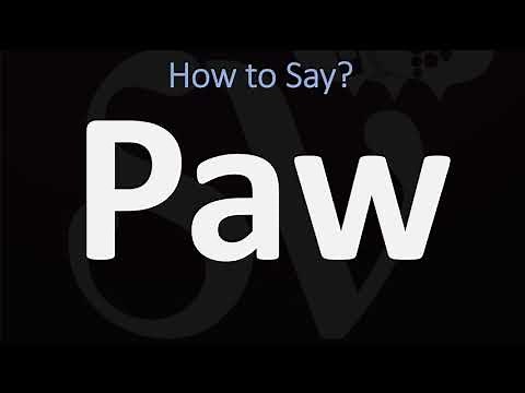 How to Pronounce Paw? (CORRECTLY)