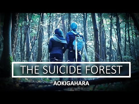 INTO THE SUICIDE FOREST
