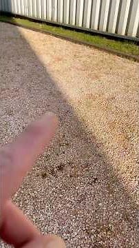 Désherbage Gravier / terrain de pétanque